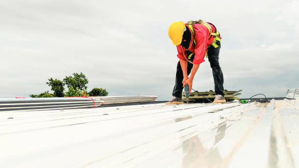 Best Skylight Installation and Repair  in Bohemia, NY